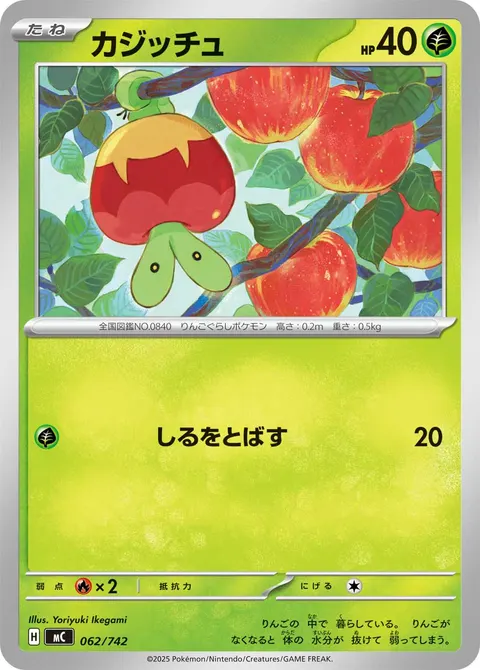 カジッチュ 062/742 기본판 일본어판 카드 이미지