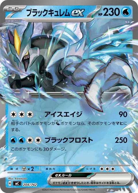 ブラックキュレムex 204/742 일본어판 카드 이미지
