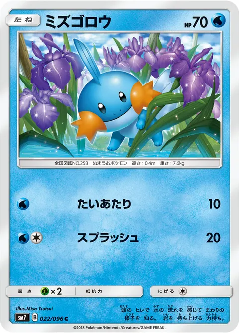 ミズゴロウ 022/096 기본판 일본어판 카드 이미지