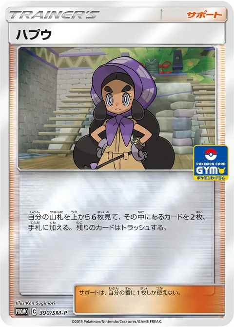 ハプウ 390/SM-P 기본판 일본어판 카드 이미지
