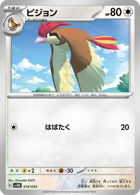 ピジョン 014/053 일본어판 카드 이미지