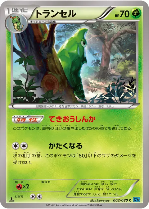 トランセル 002/080 기본판 일본어판 카드 이미지