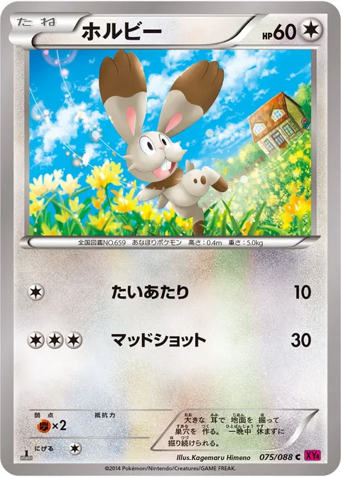 ホルビー 075/088 일본어판 카드 이미지