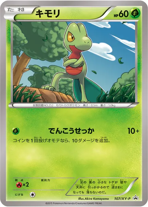 キモリ 107/XY-P 기본판 일본어판 카드 이미지