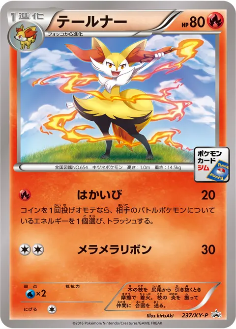 テールナー 237/XY-P 기본판 일본어판 카드 이미지