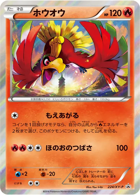 ホウオウ 224/XY-P 기본판 일본어판 카드 이미지